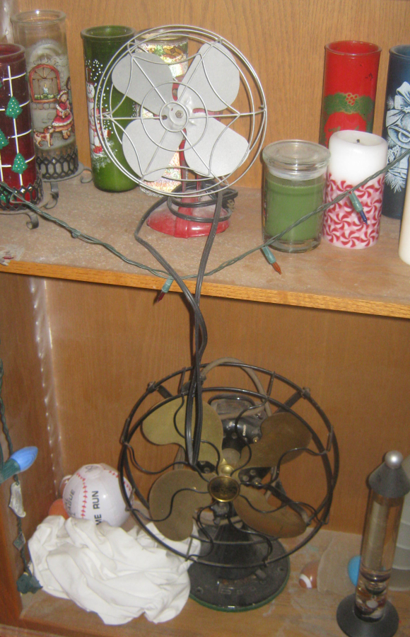 IMG_1342 resized.jpg