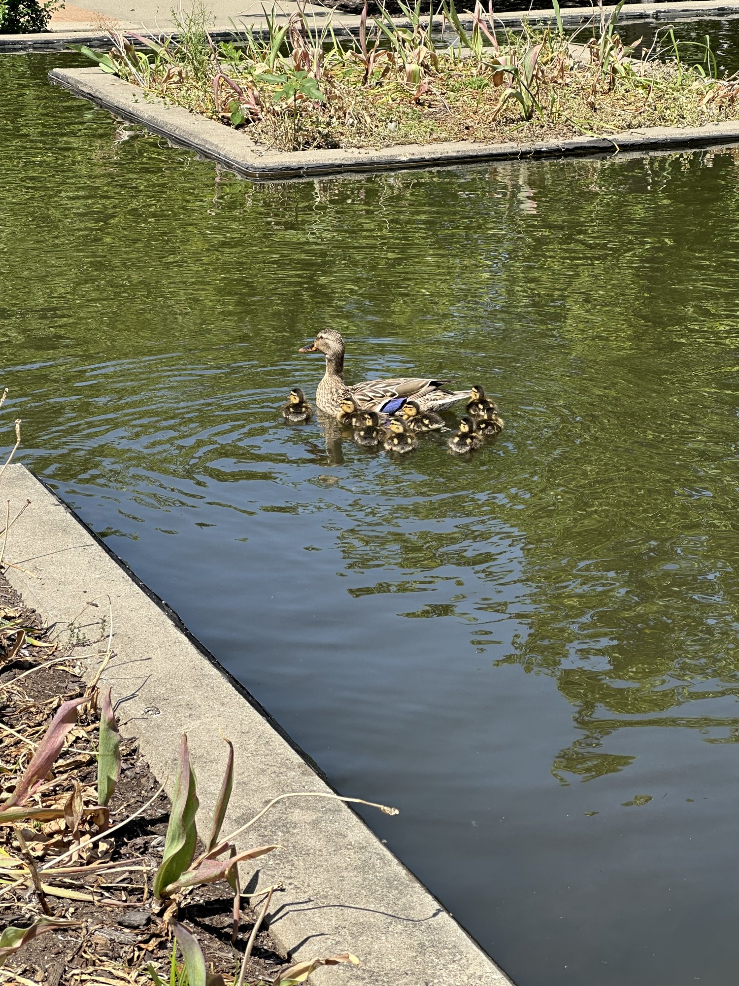IMG_1354.jpeg