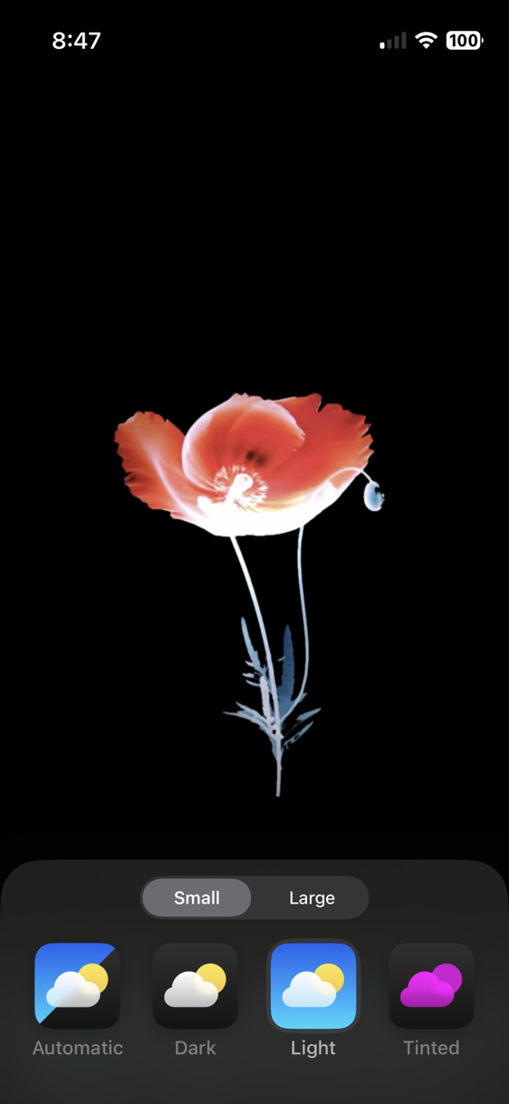 IMG_1442.PNG