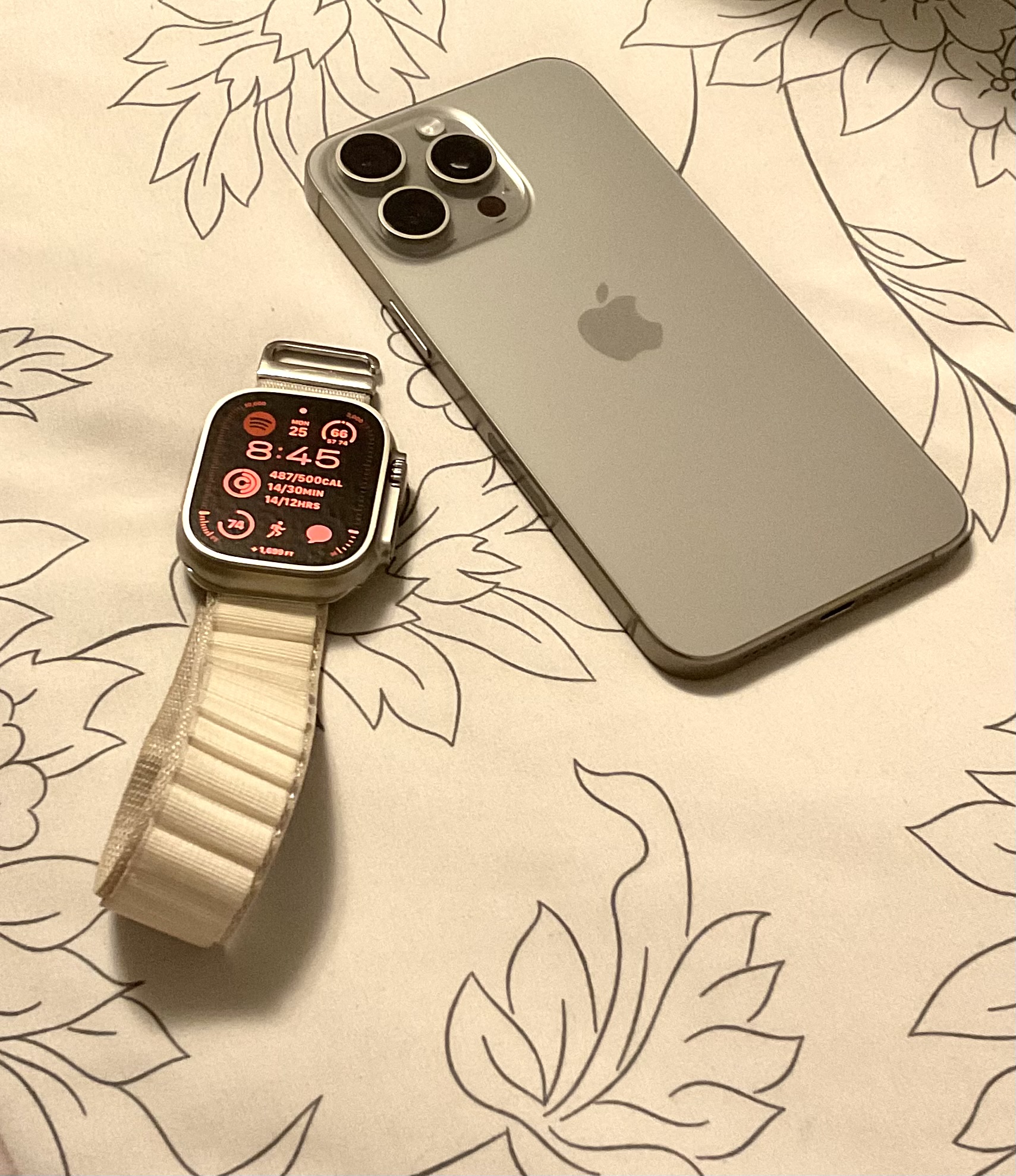 IMG_1482.jpeg