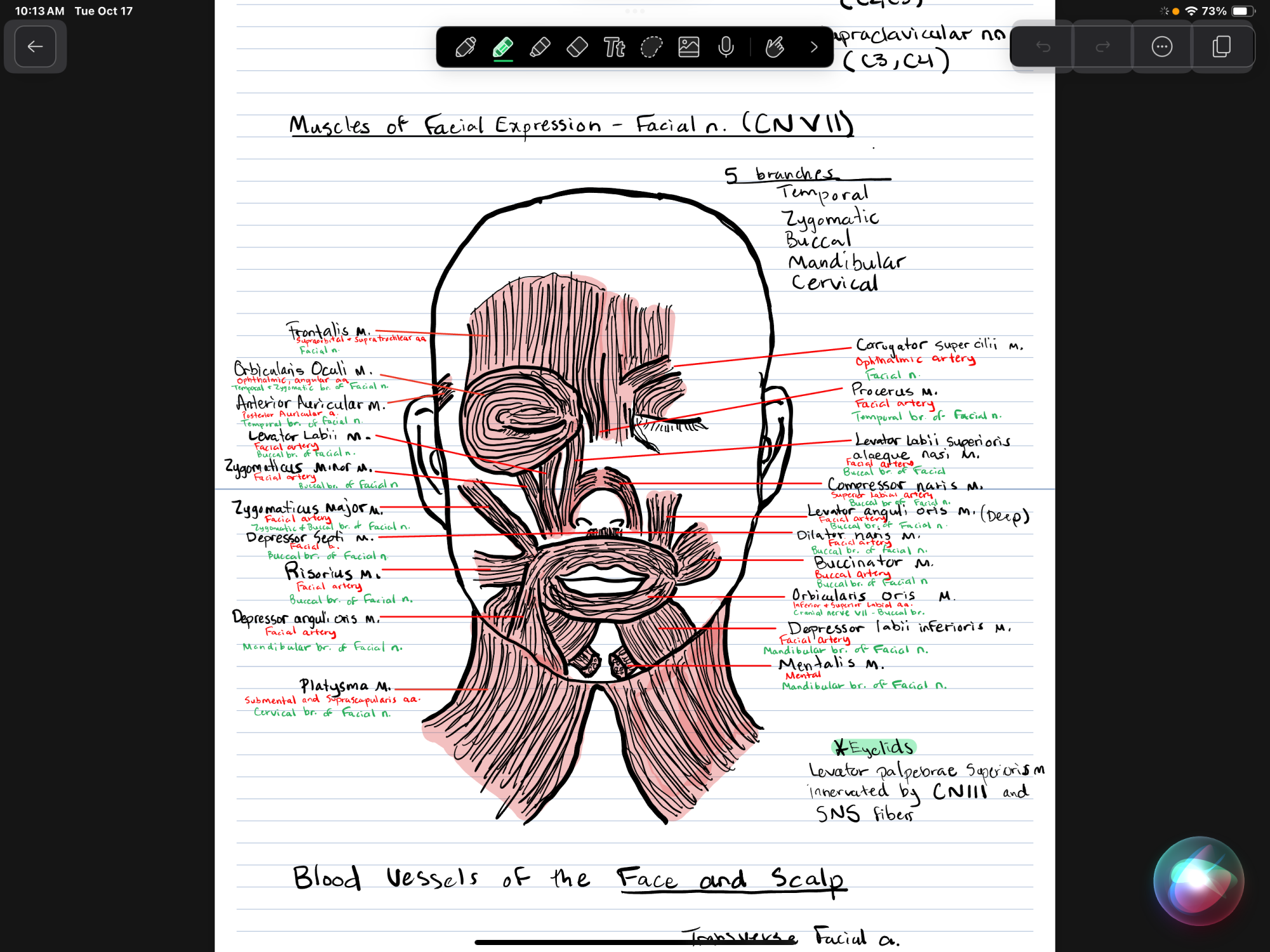 IMG_1497.png