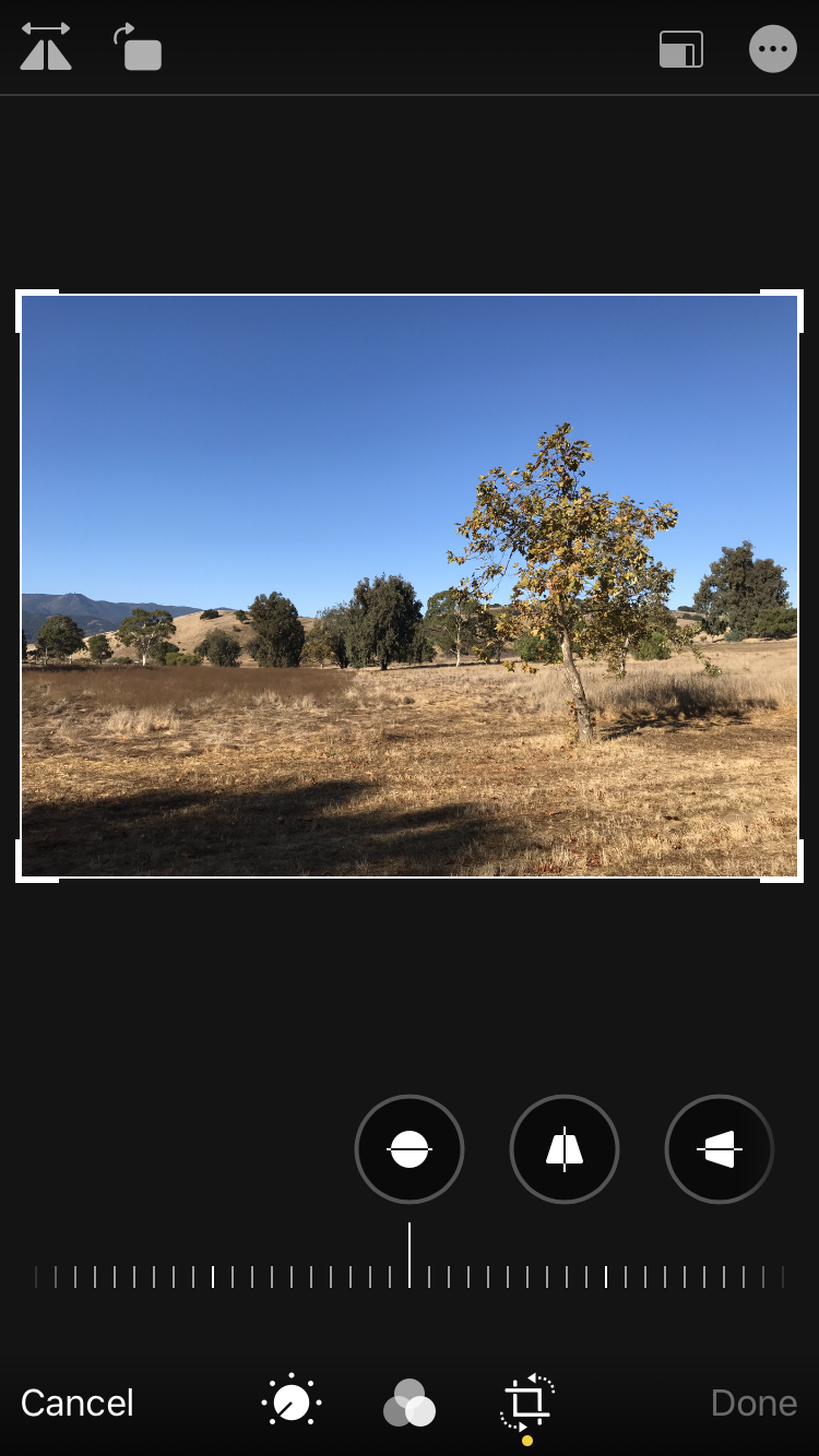 IMG_1523.PNG