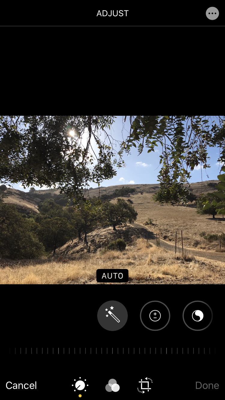 IMG_1526.PNG
