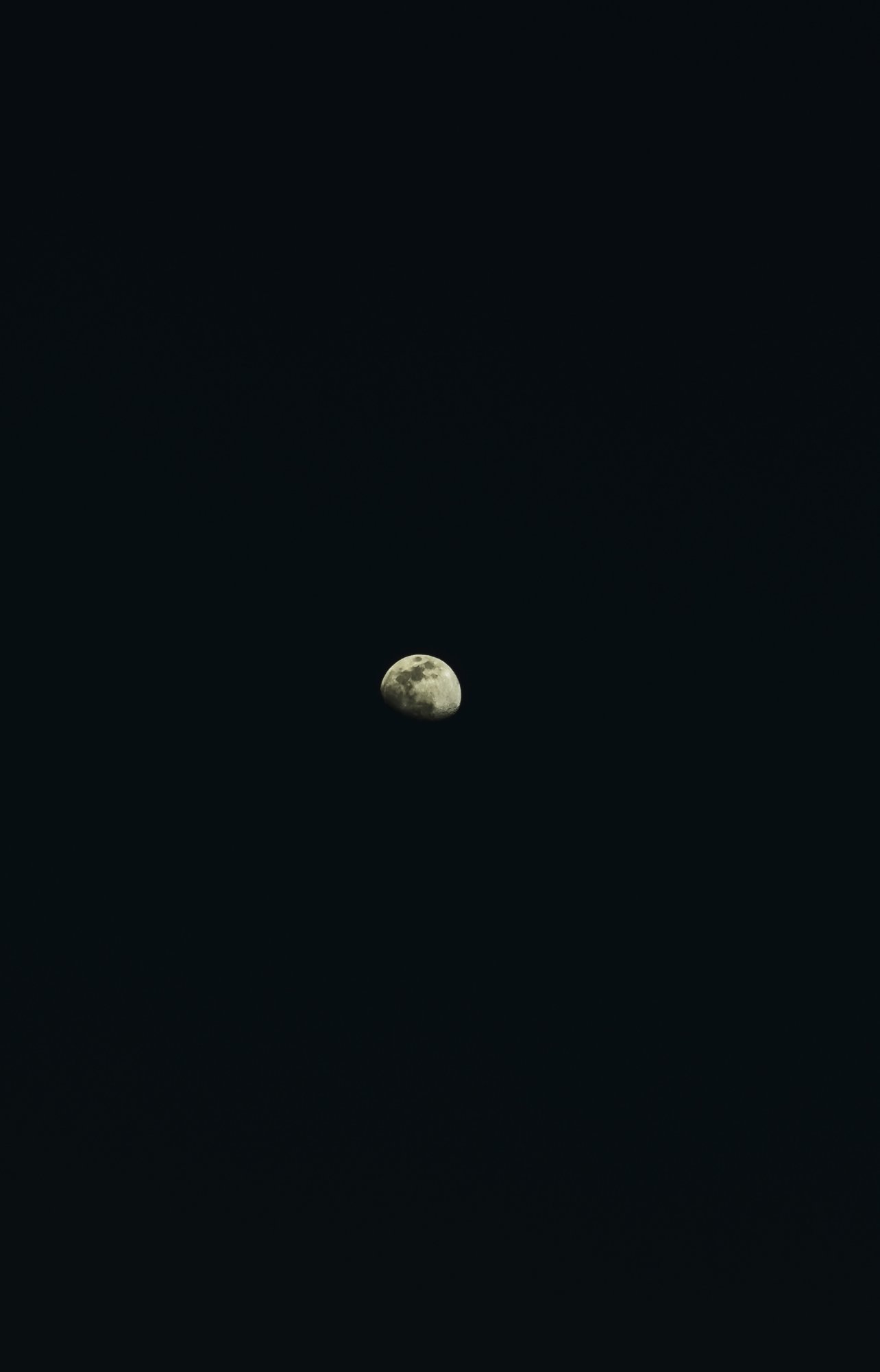 IMG_1583.jpeg