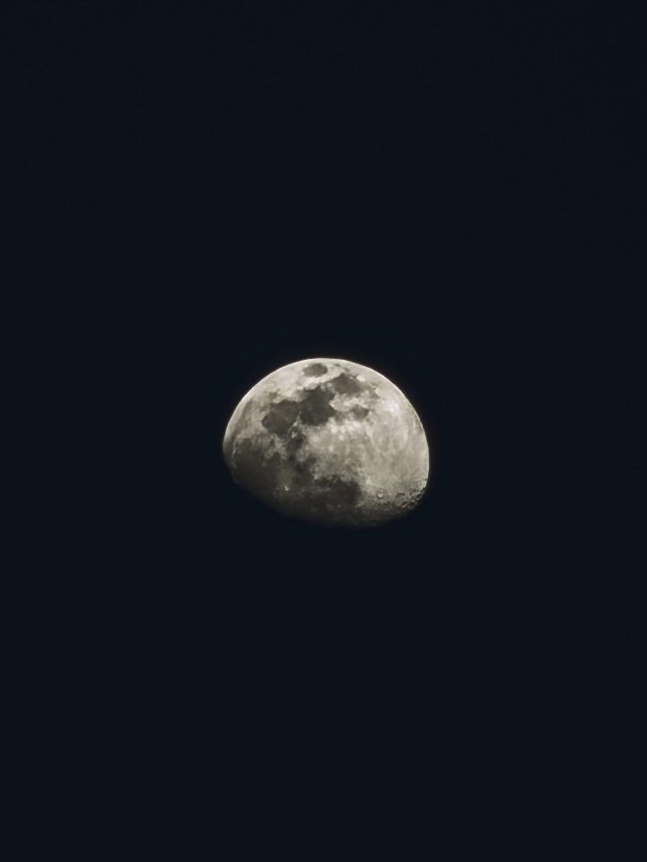 IMG_1584.jpeg