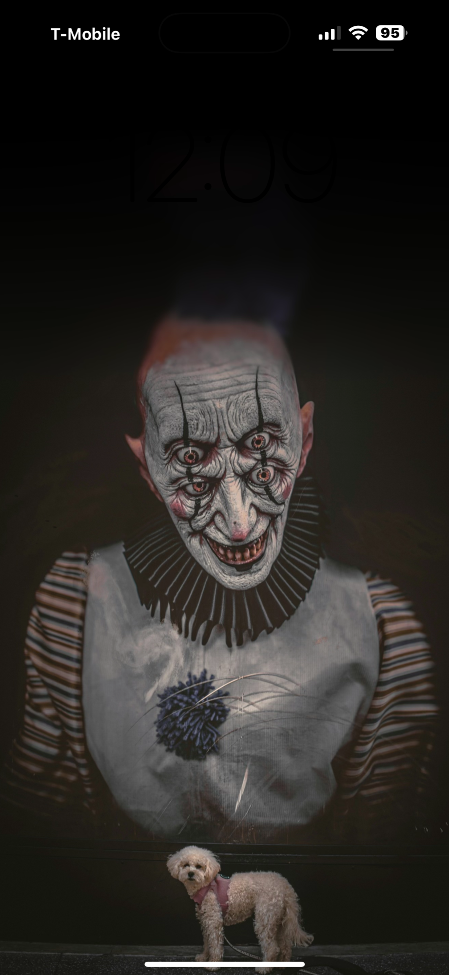 IMG_1620.png