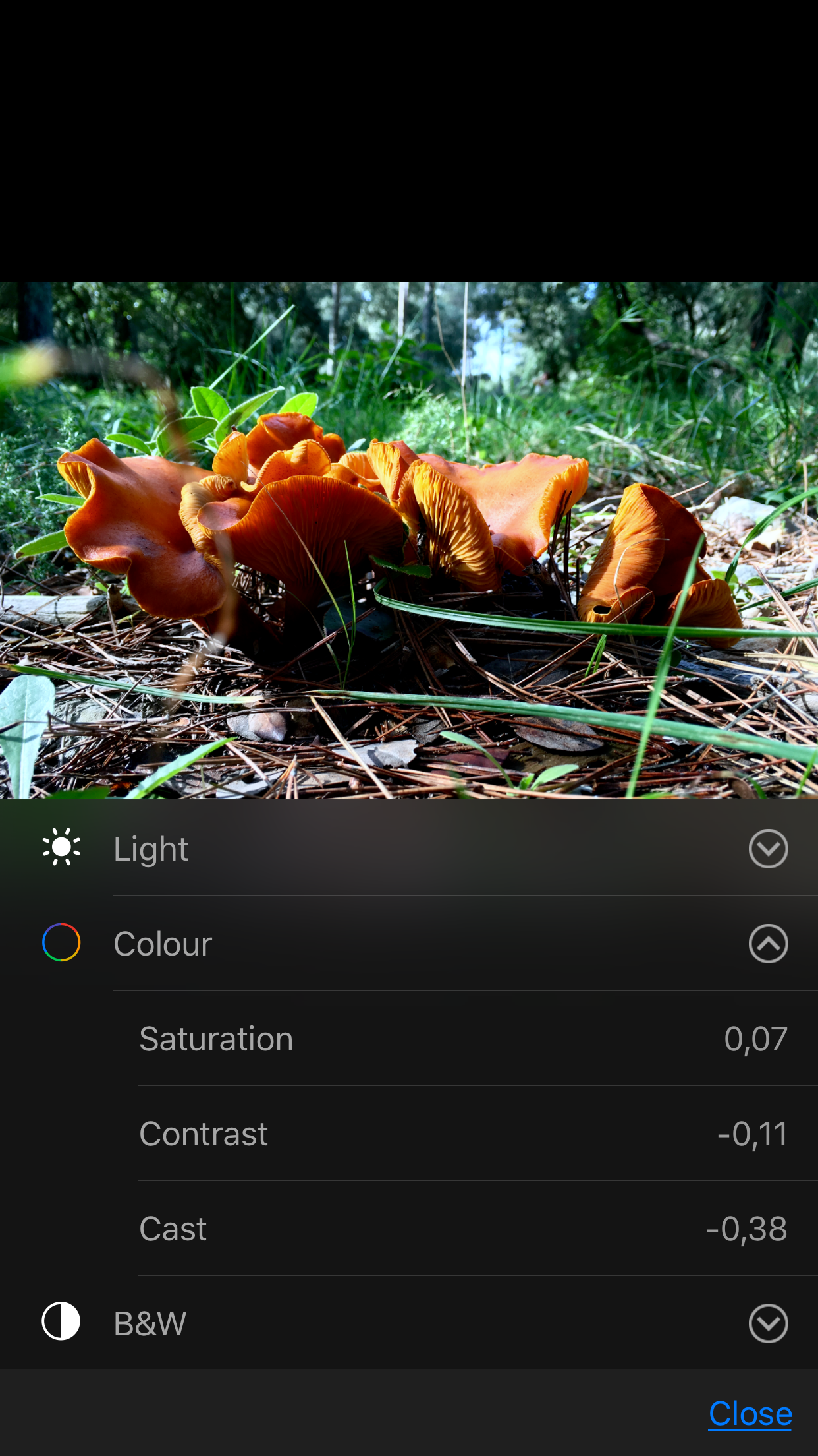 IMG_1654.PNG