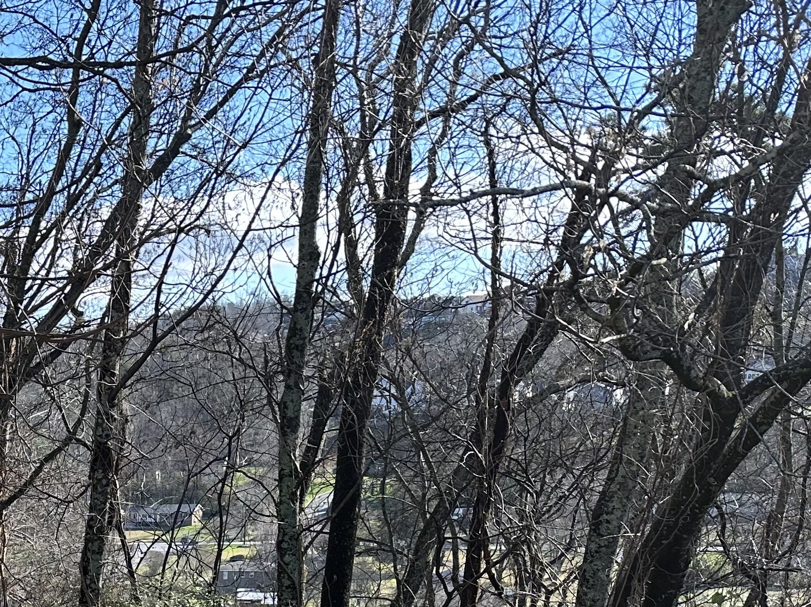 IMG_1660.jpeg
