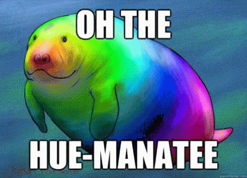 IMG_1750.GIF