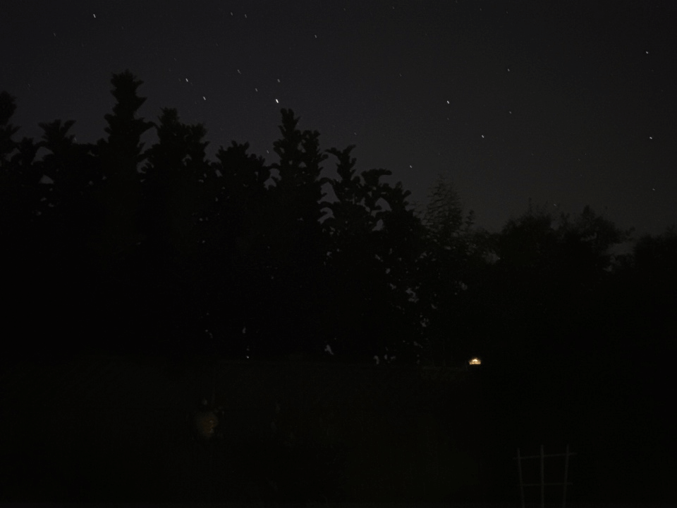IMG_1796.png