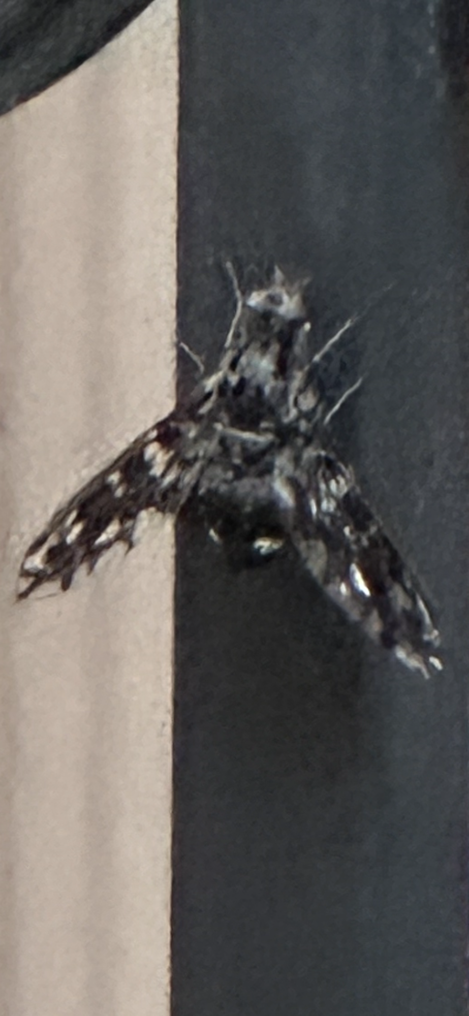 IMG_1836.png