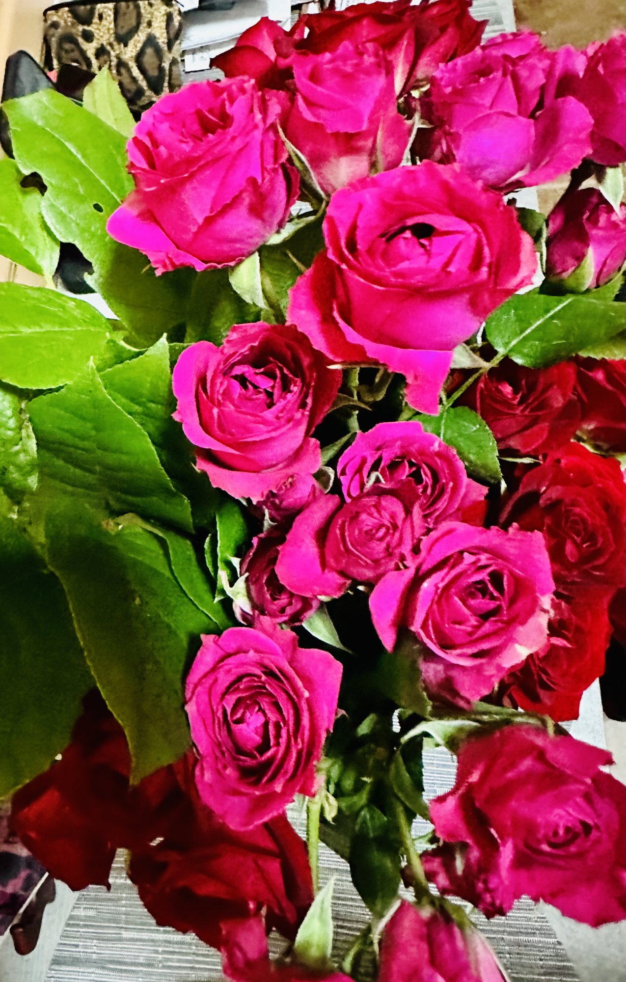 IMG_1853.jpeg
