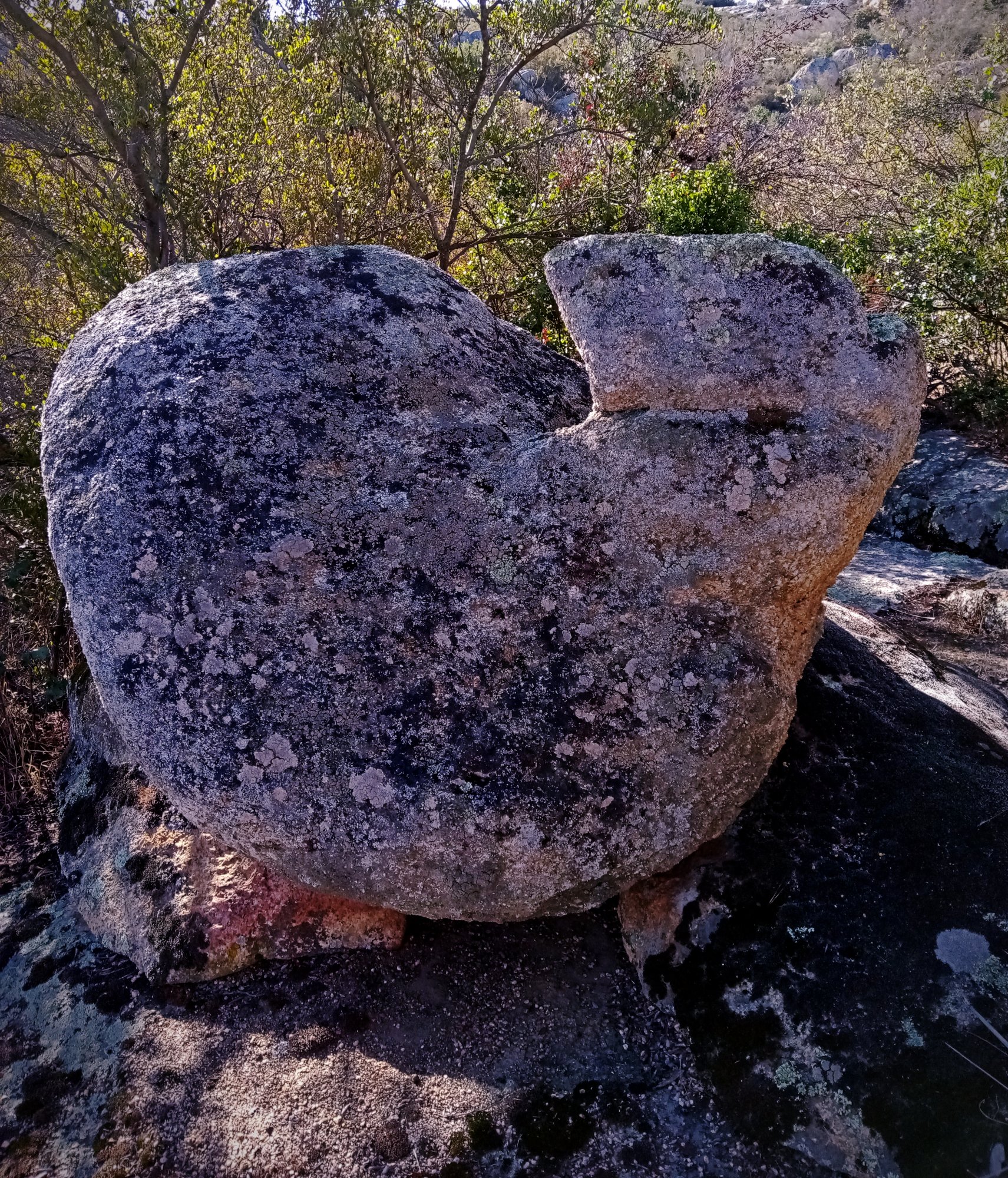 IMG_20251004_092012 xv.jpg