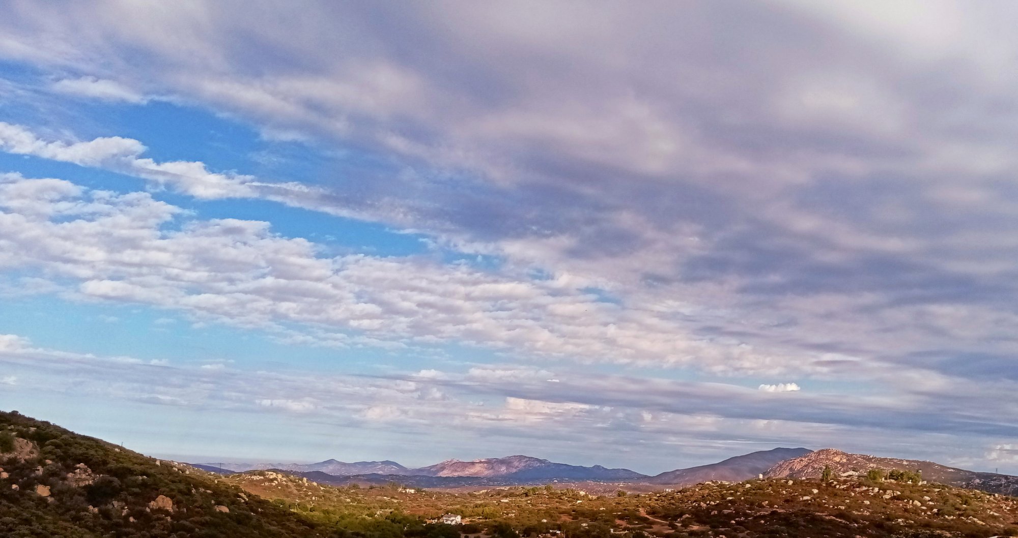 IMG_20251009_083923 crop2x2.jpg