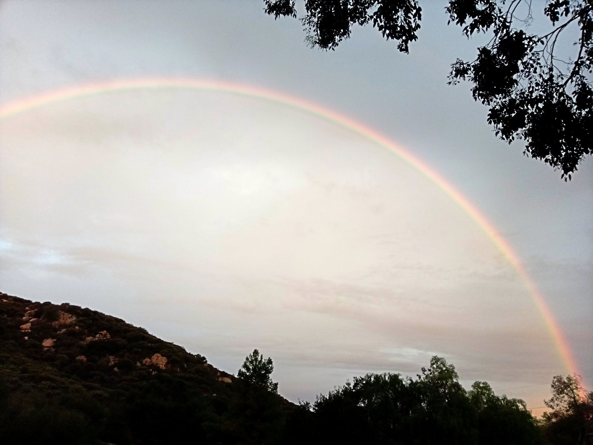 IMG_20251114_062452 x.jpg