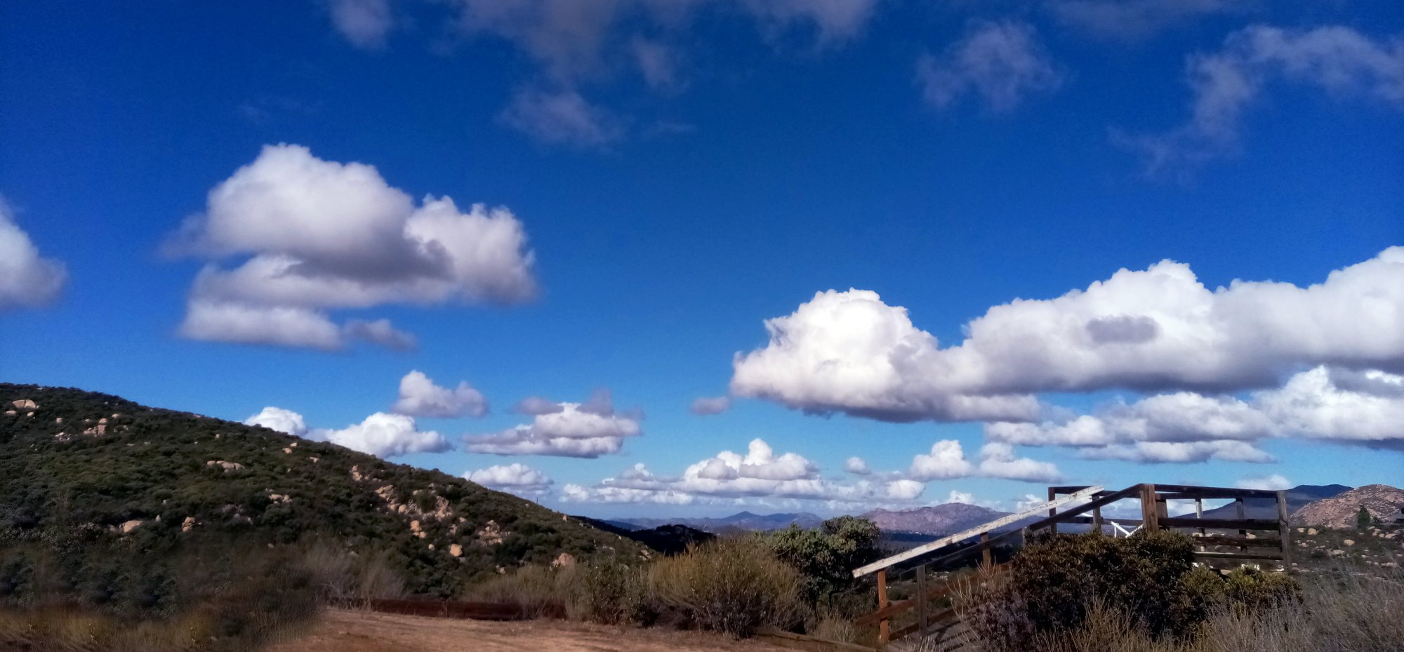 IMG_20251119_101104 cropx3.jpg