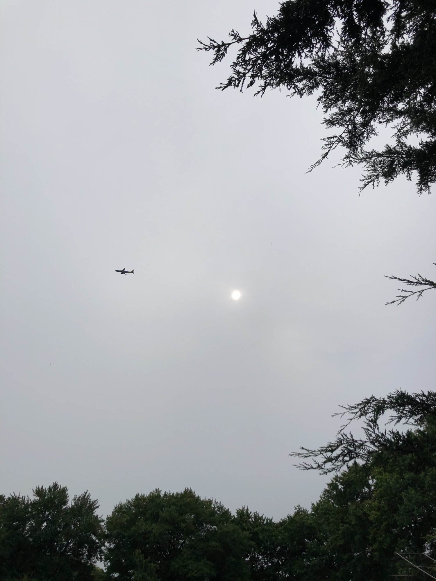 IMG_2080.jpeg