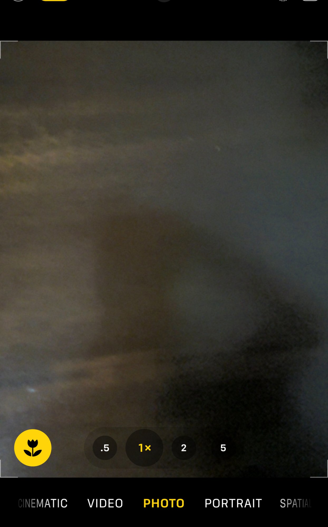 IMG_2229.jpeg