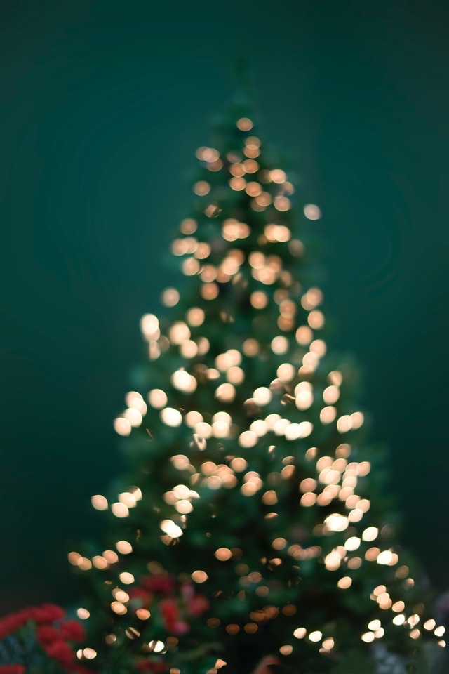 IMG_2343.jpeg
