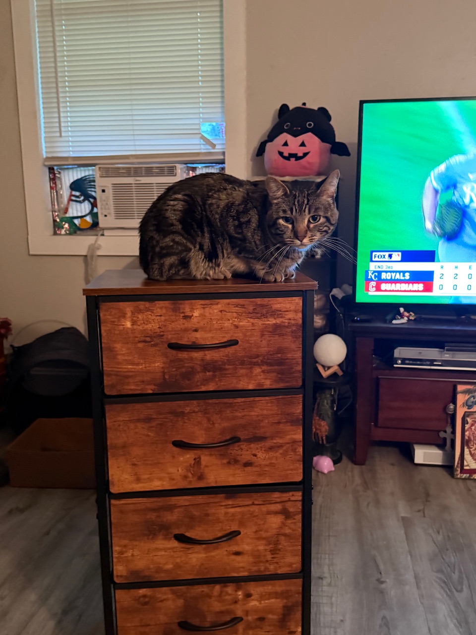 IMG_2547.jpeg