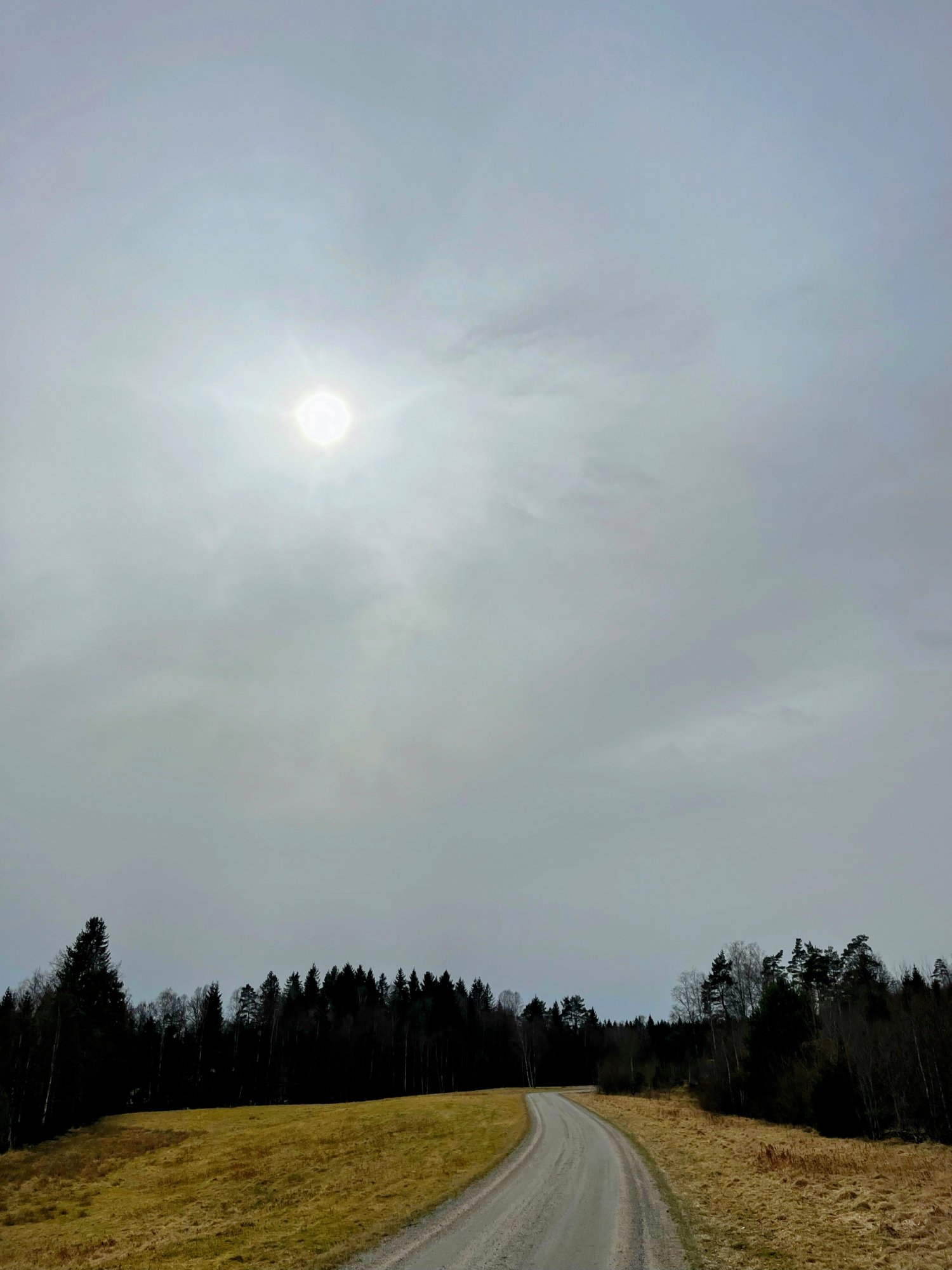 IMG_2596.jpeg