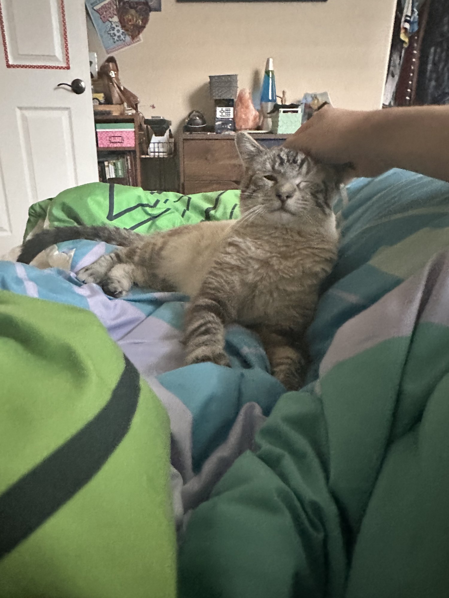 IMG_2601.jpeg
