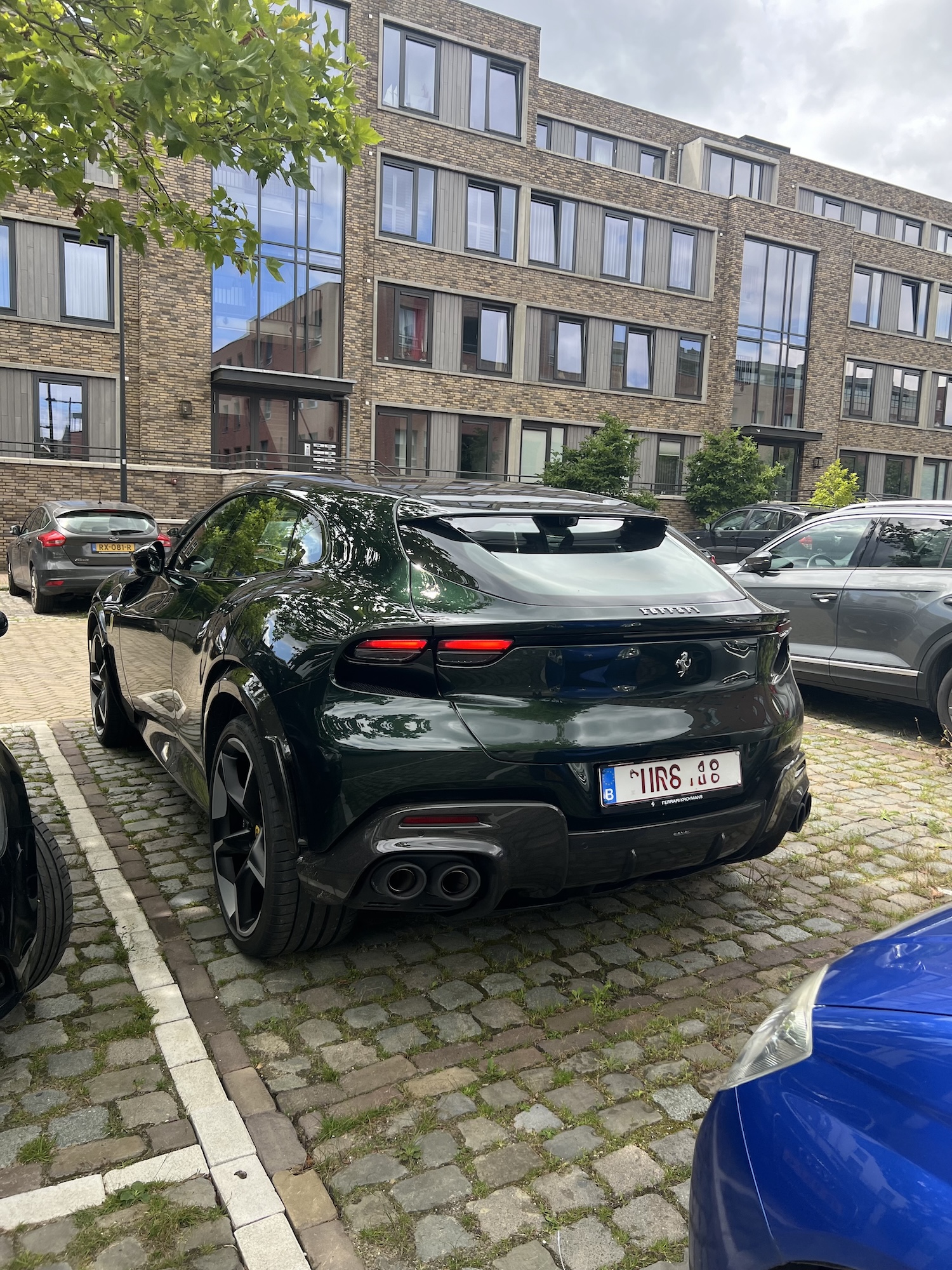 IMG_2612.jpeg