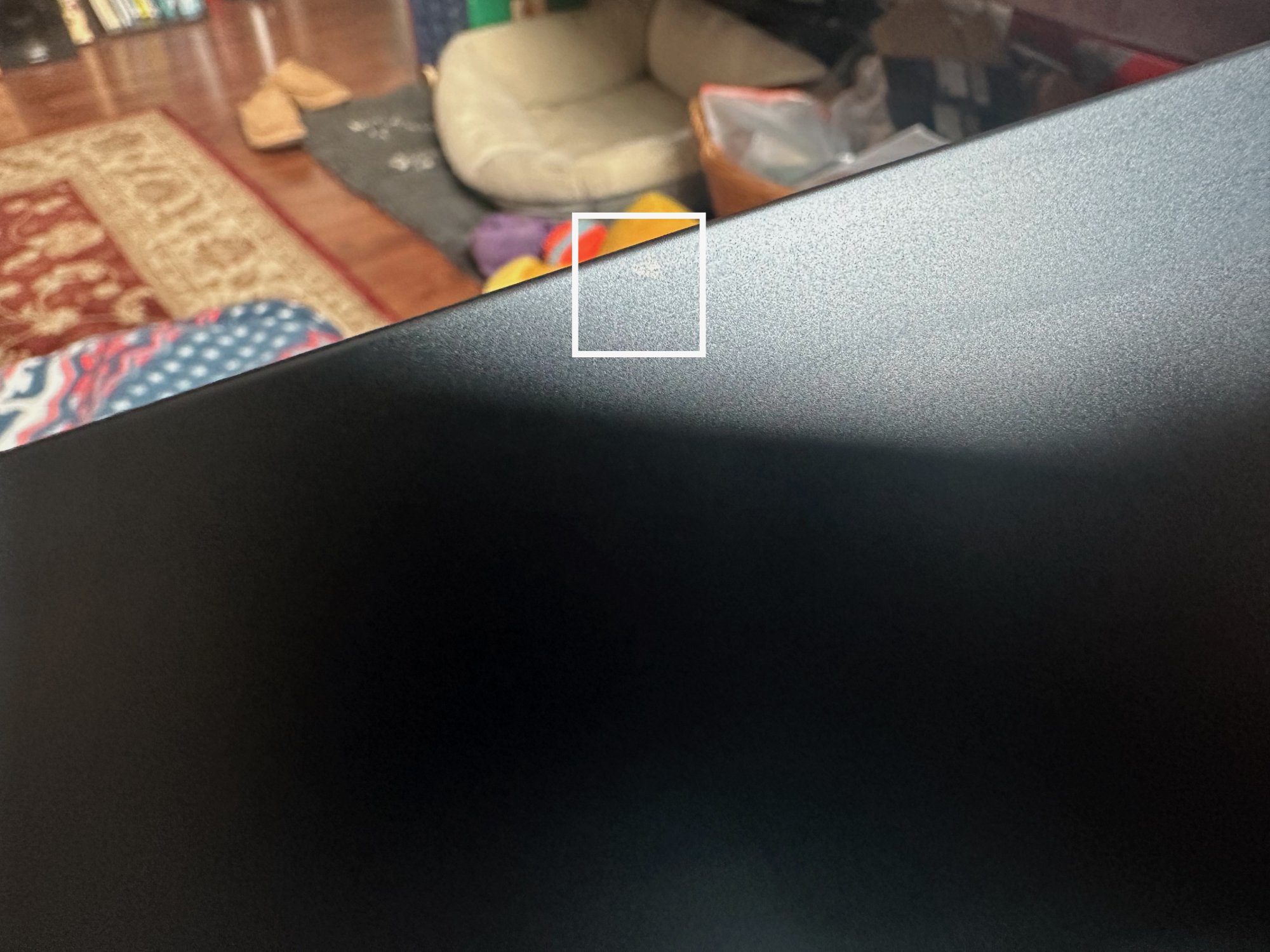 IMG_2832.jpeg