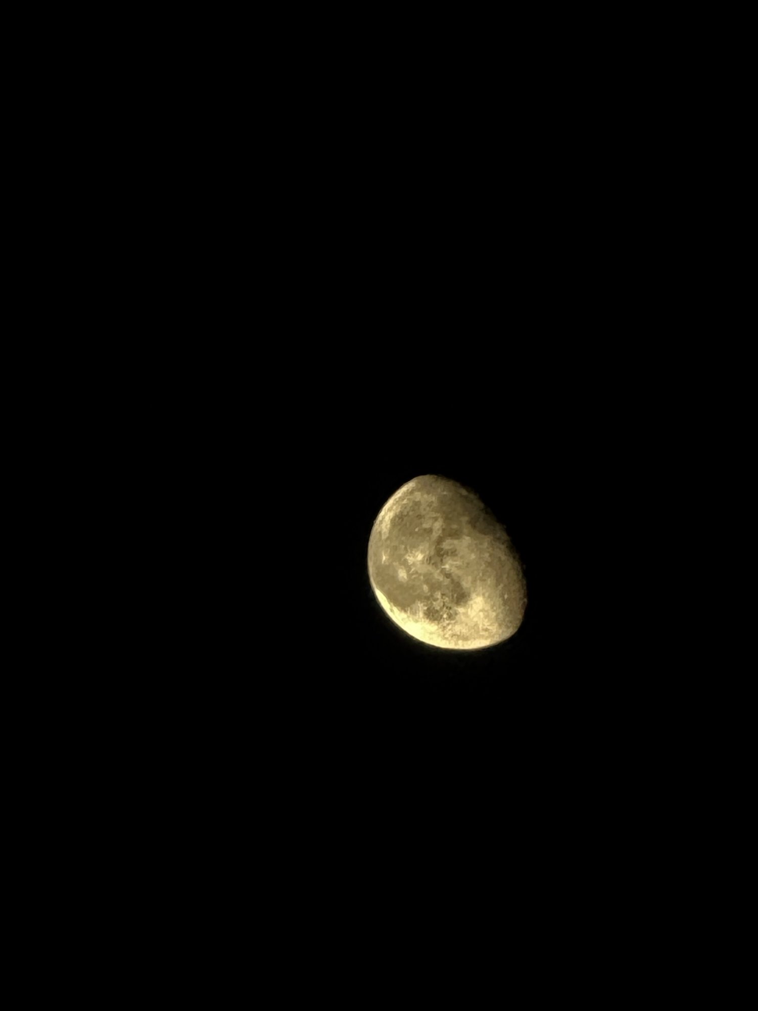 IMG_3074.jpeg