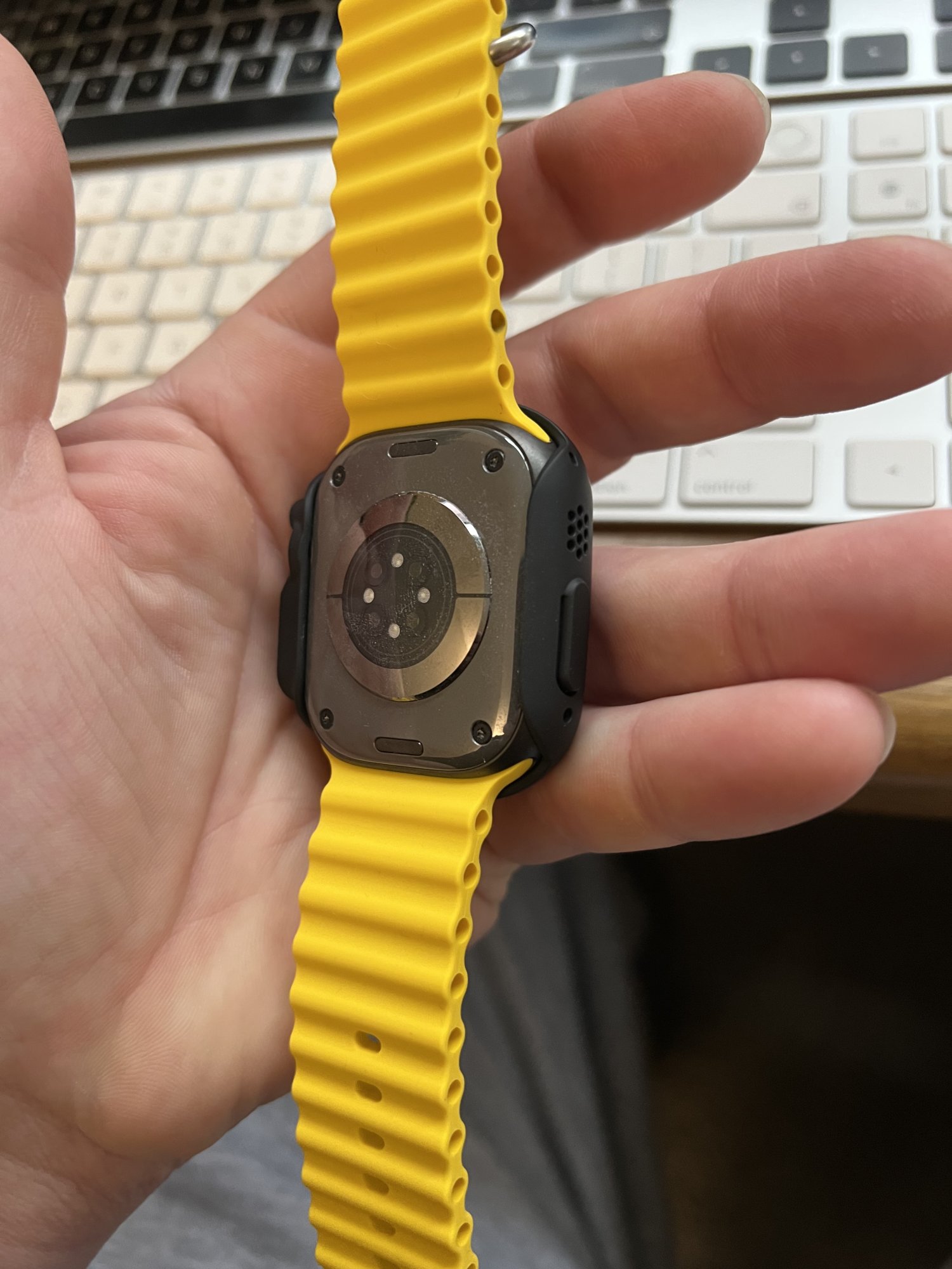 IMG_3317.jpeg