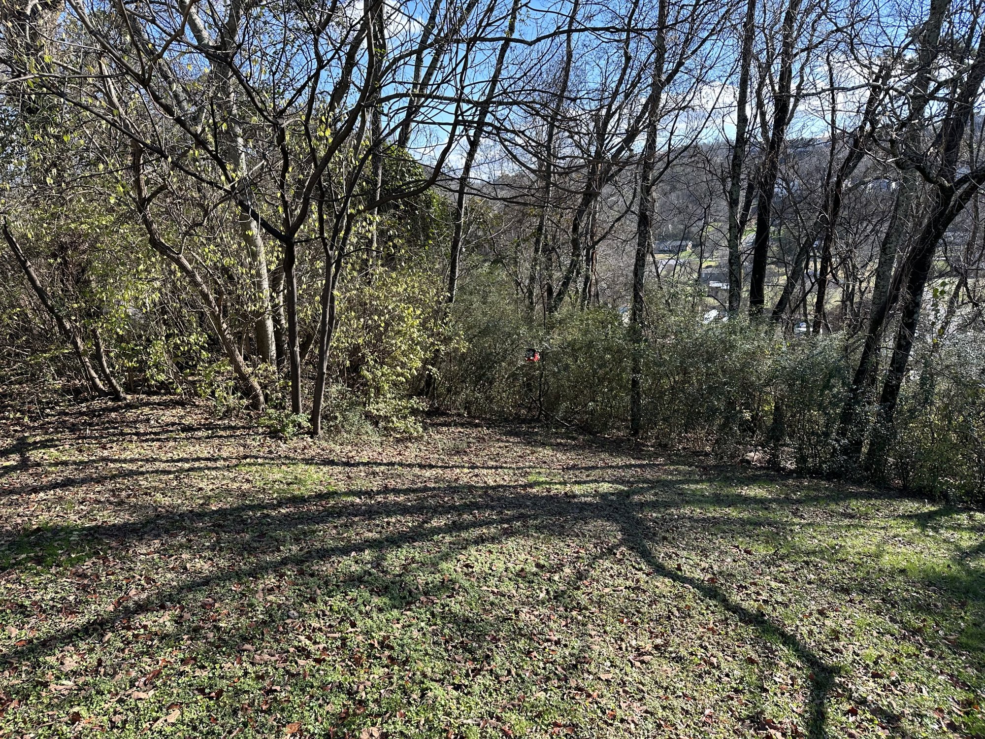 IMG_3402.jpeg
