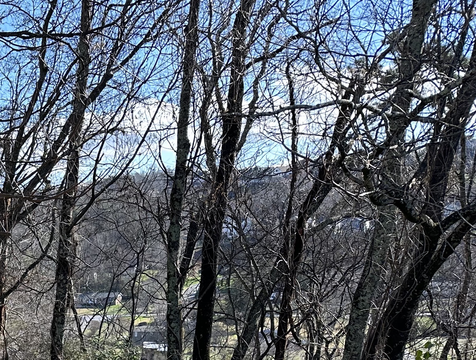 IMG_3402.jpeg