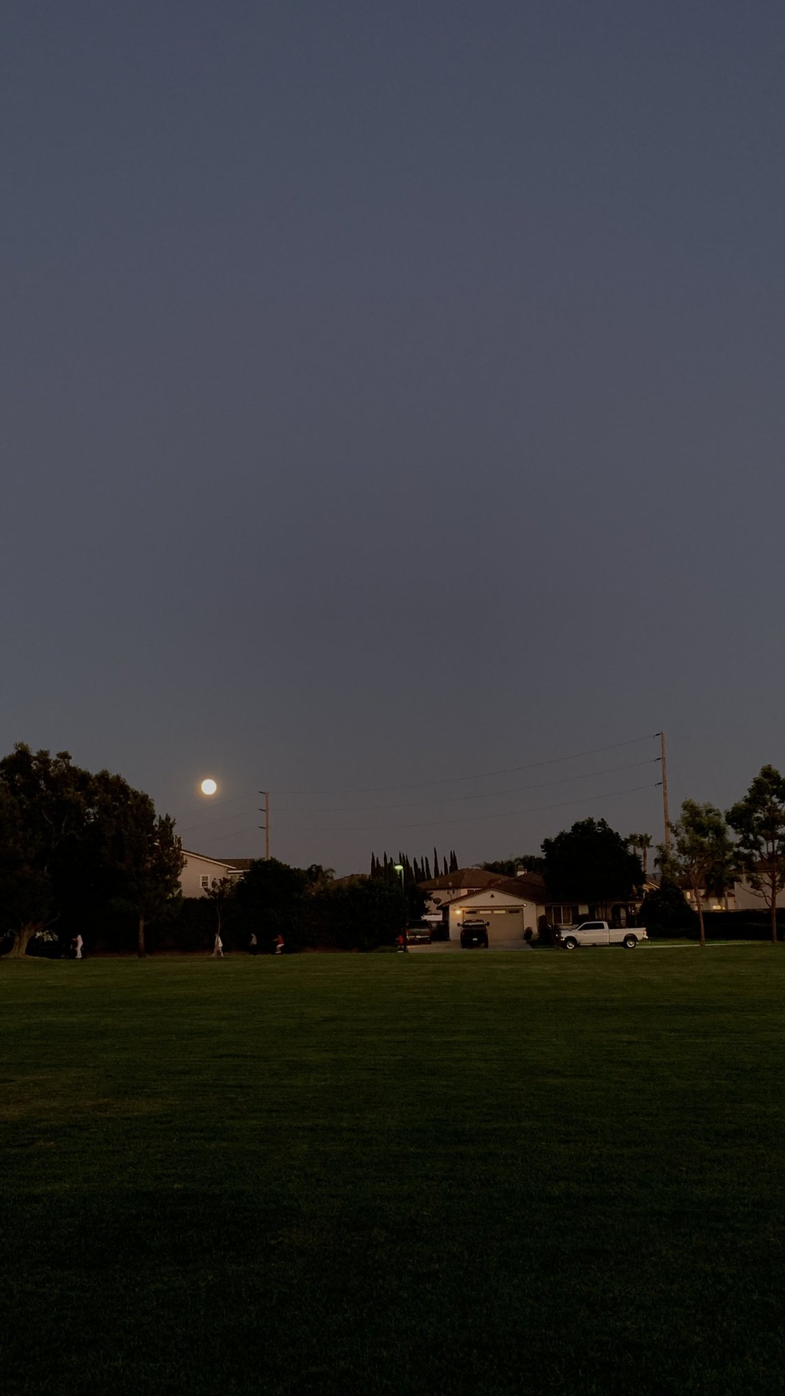 IMG_3460.jpeg