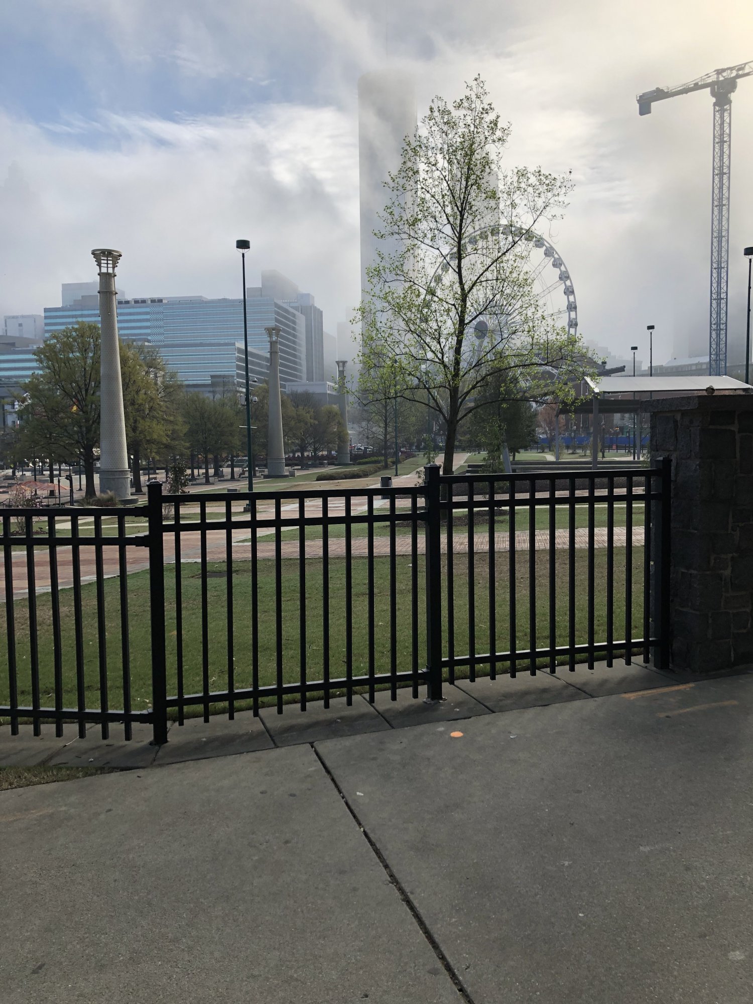 IMG_3470.jpeg