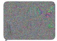 IMG_3491.jpeg