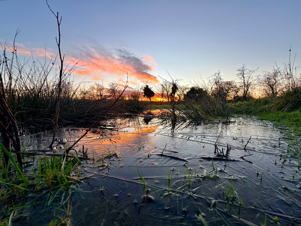 World Wide Photos taken with iPhone 17/ Air/ Pro/ Pro Max/ 17e - (2025 ...