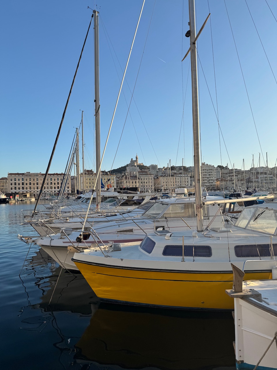 IMG_3535.jpeg