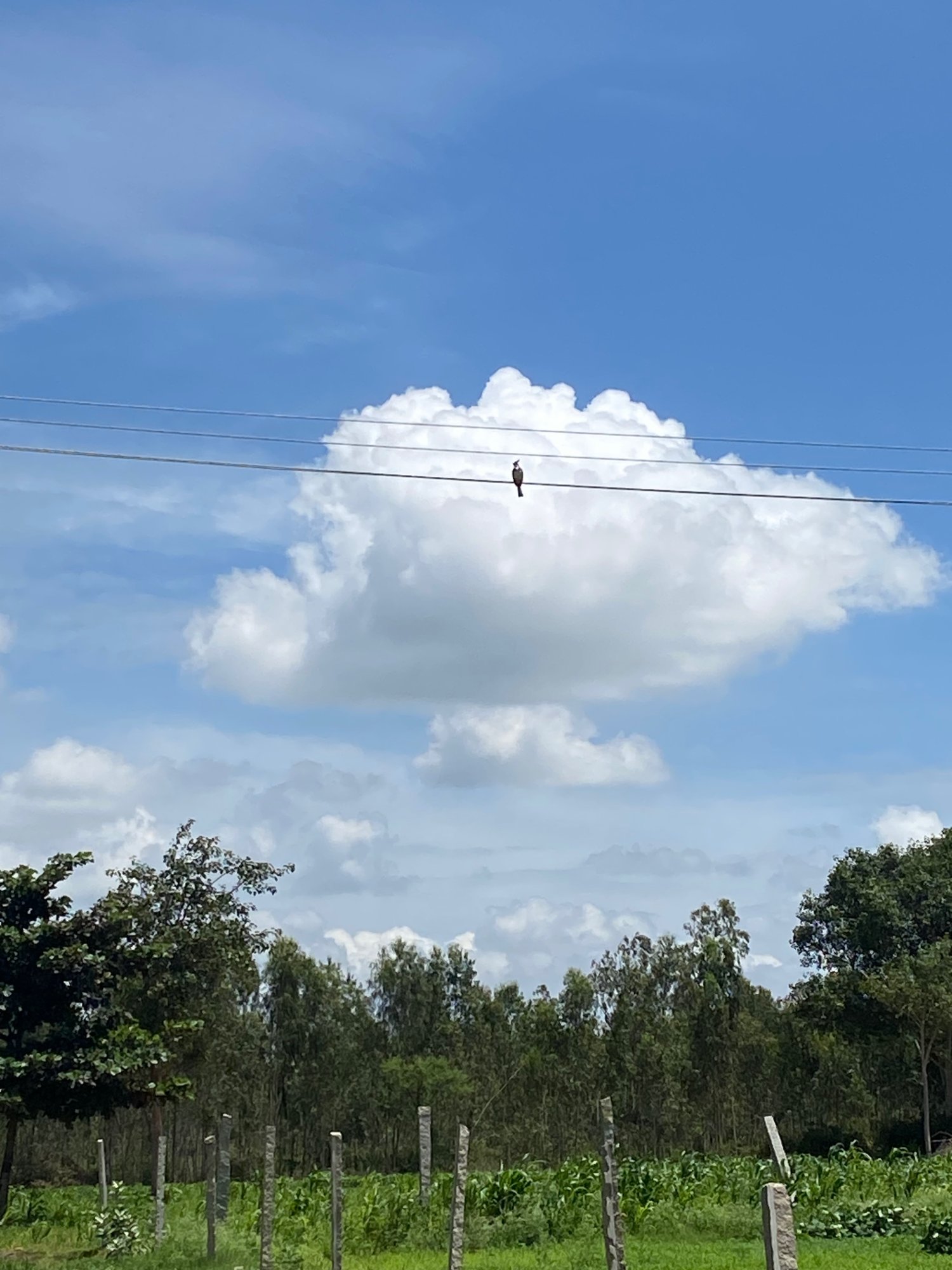 IMG_3623.jpeg
