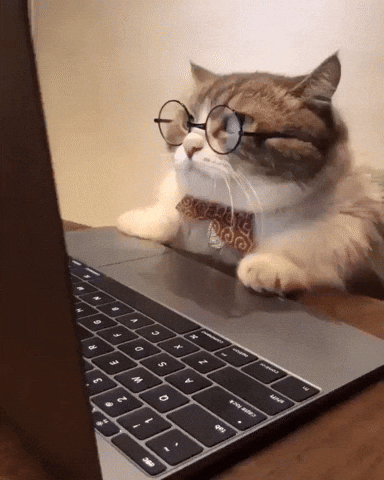 IMG_3644.gif