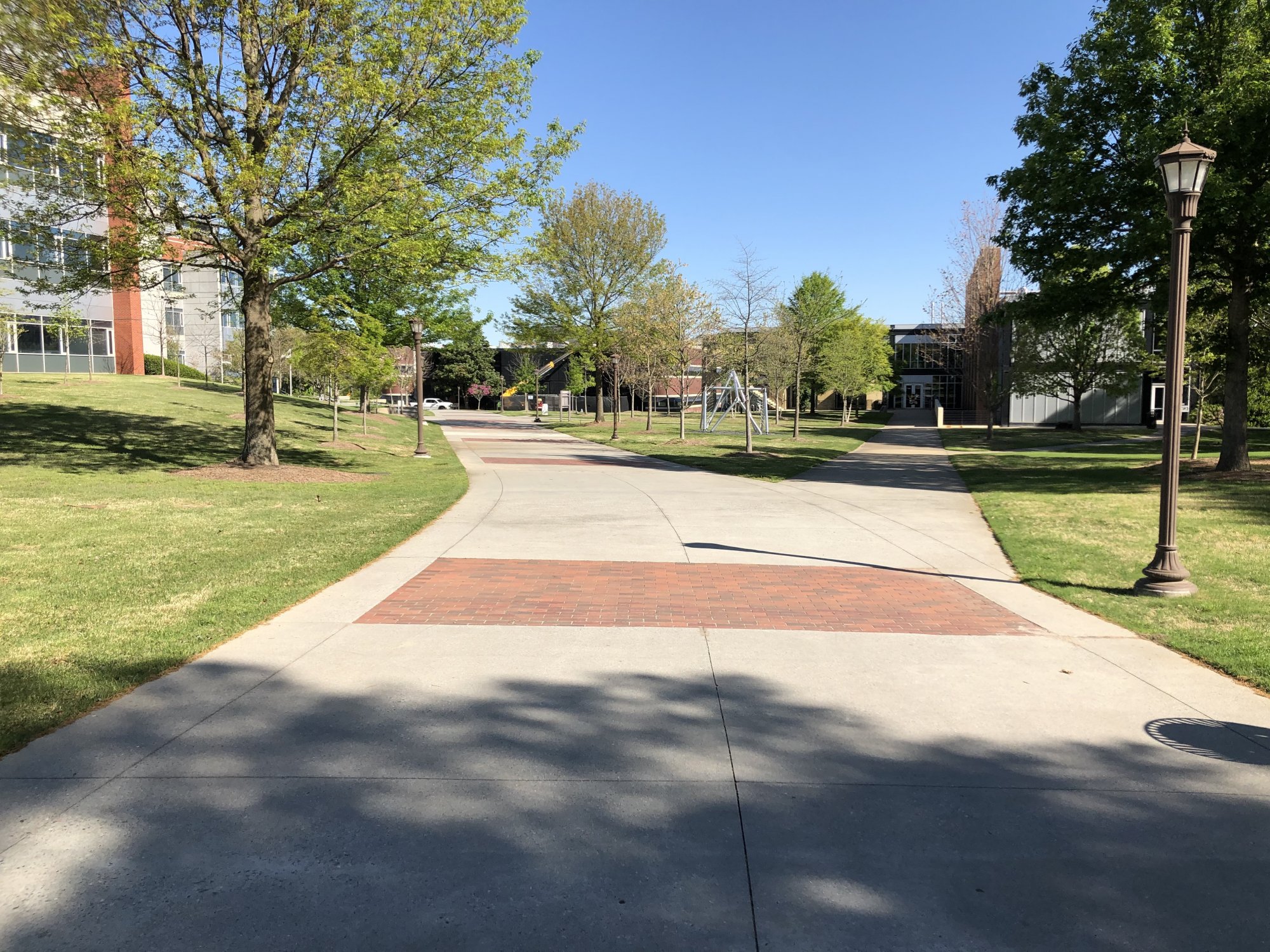 IMG_3654.jpeg