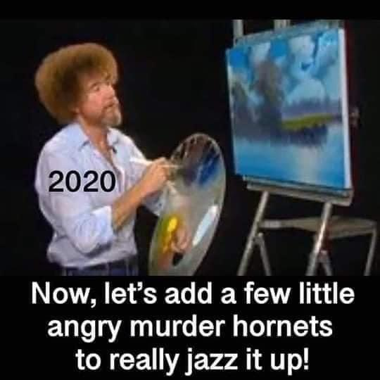IMG_3679.png