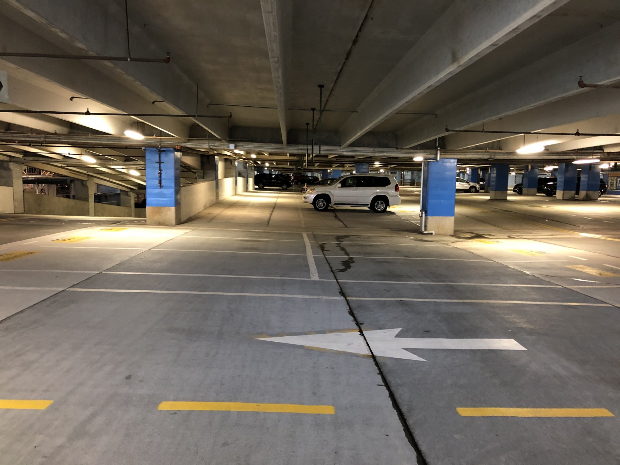 IMG_3824.jpeg