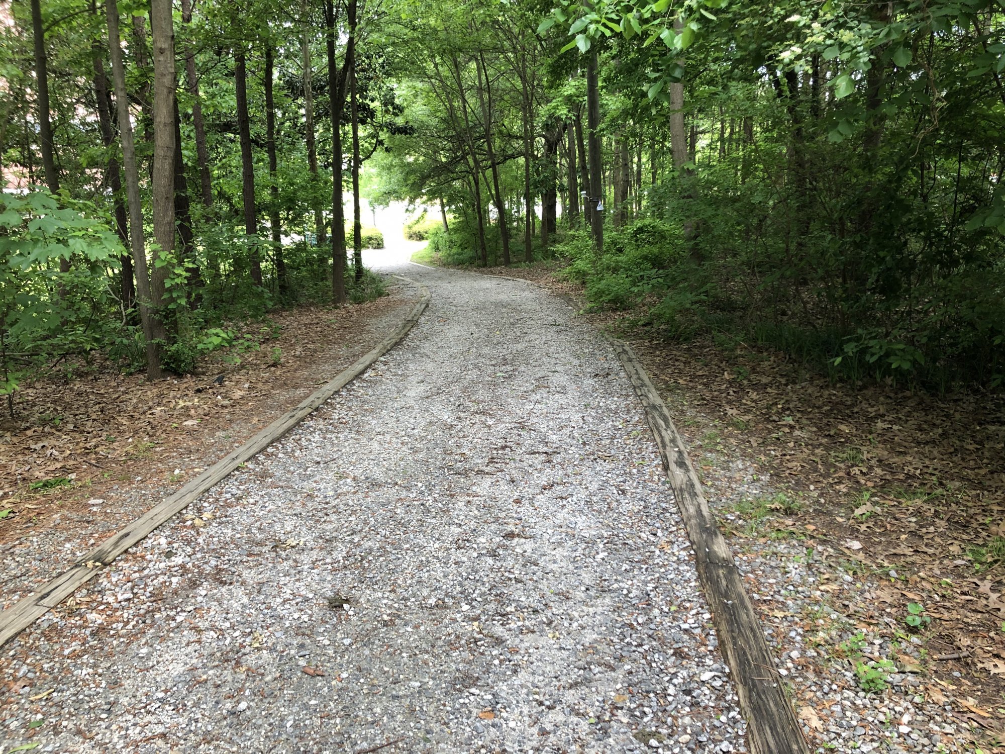 IMG_3845.jpeg