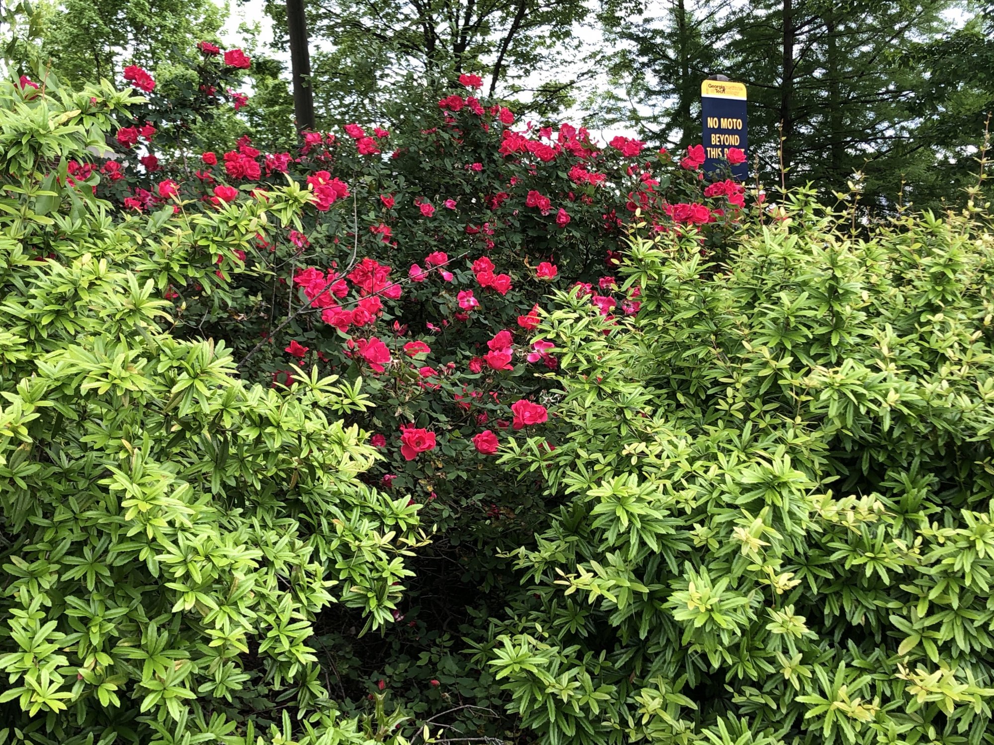 IMG_3846.jpeg