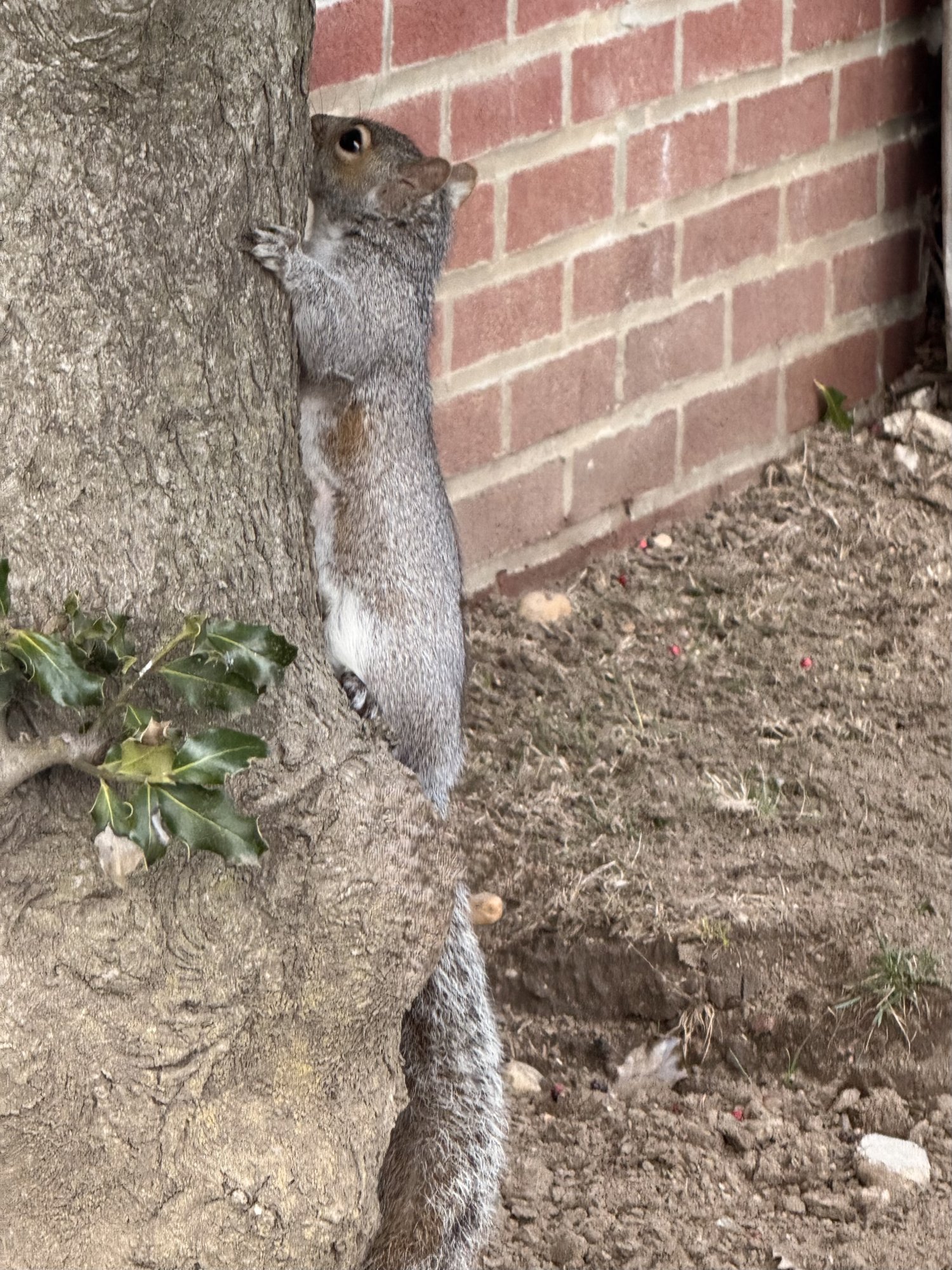 IMG_4014.jpeg