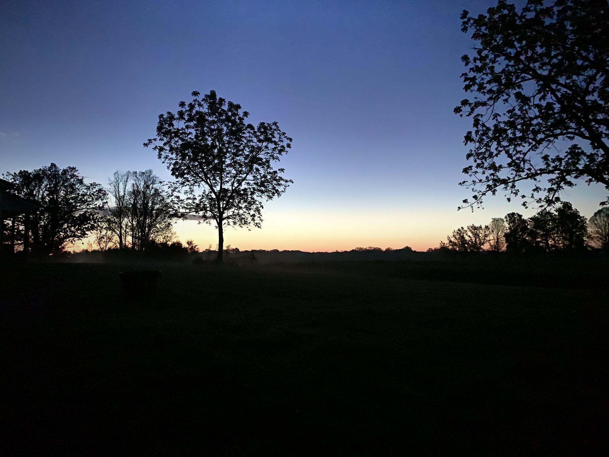 IMG_4213.jpeg