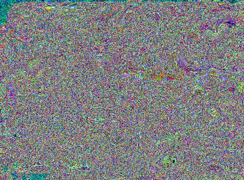 IMG_4483.jpeg