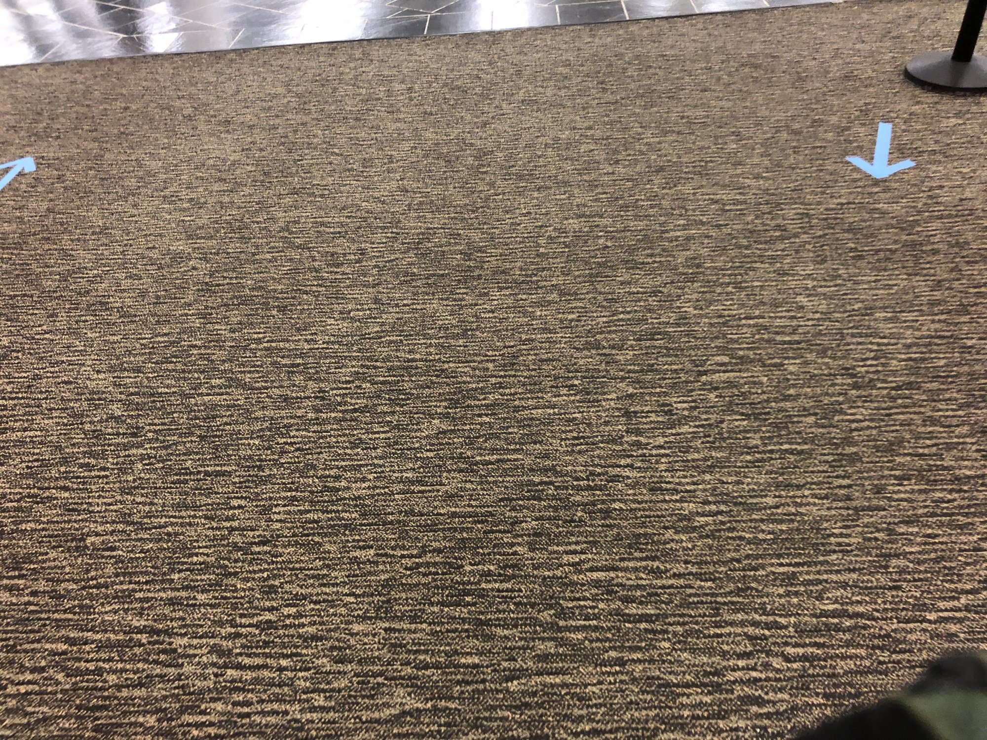 IMG_4553.jpeg