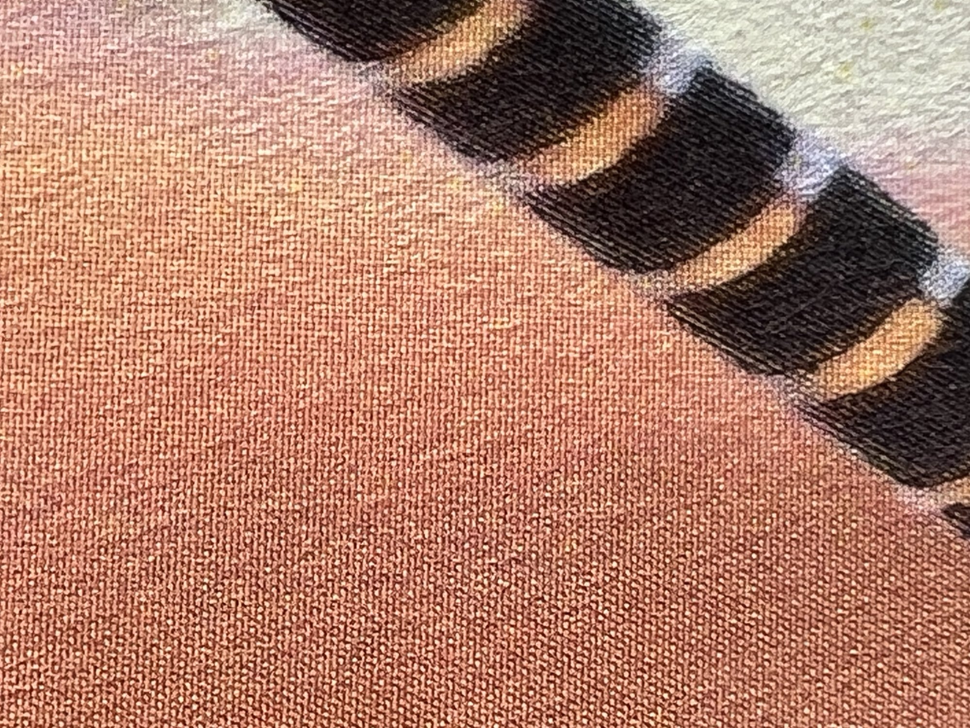 IMG_4558.jpeg