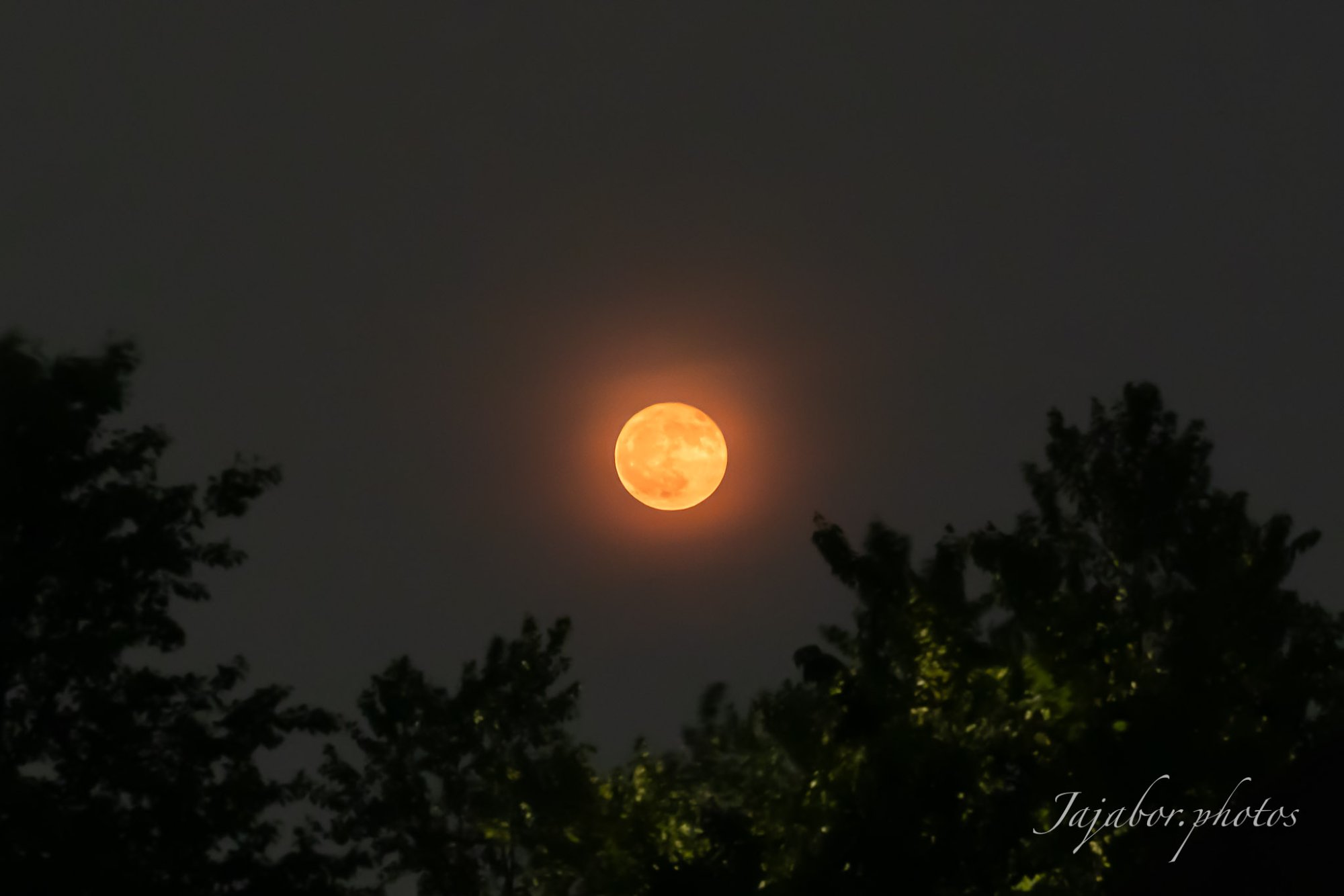 IMG_4676.JPG